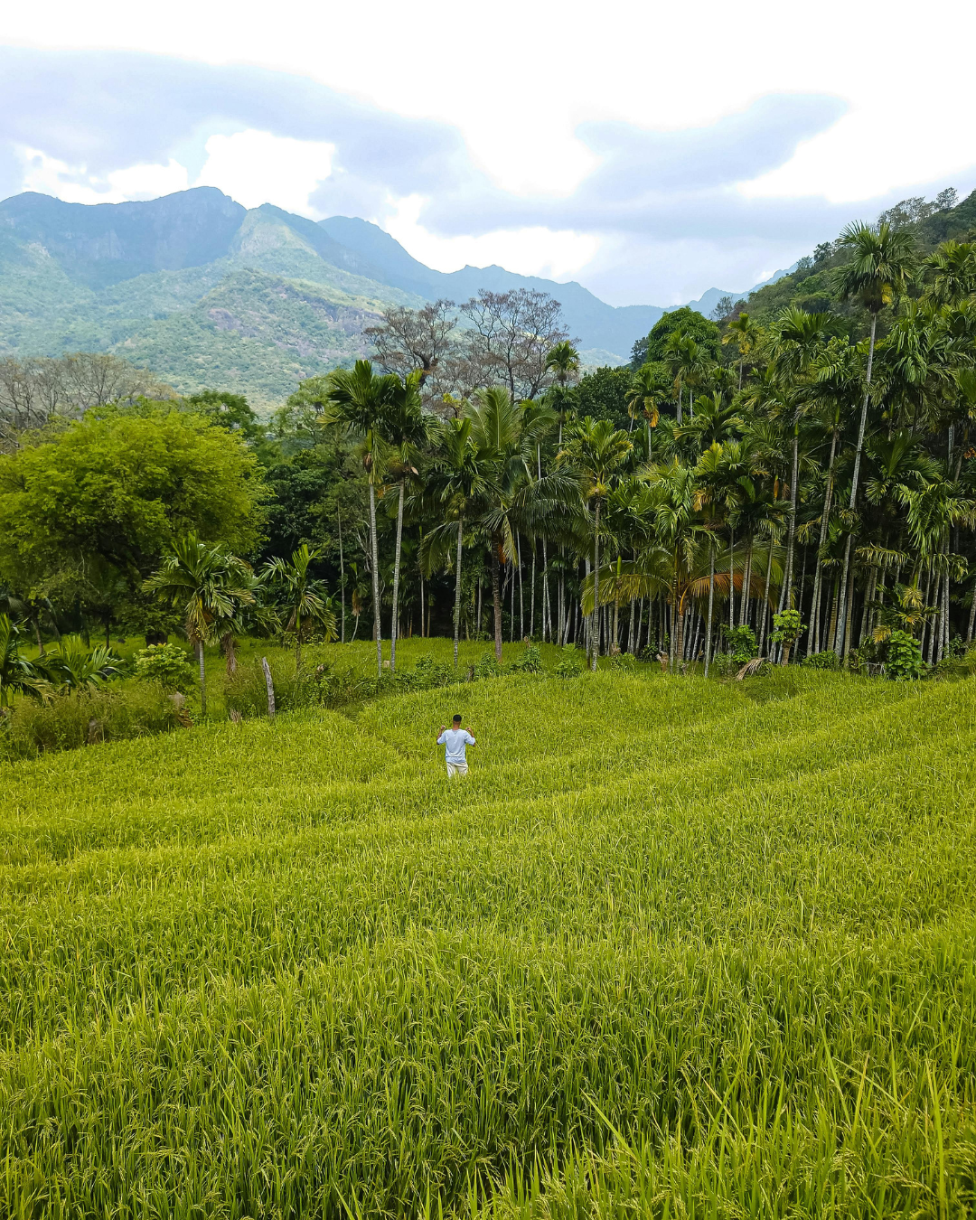 Sri Lanka